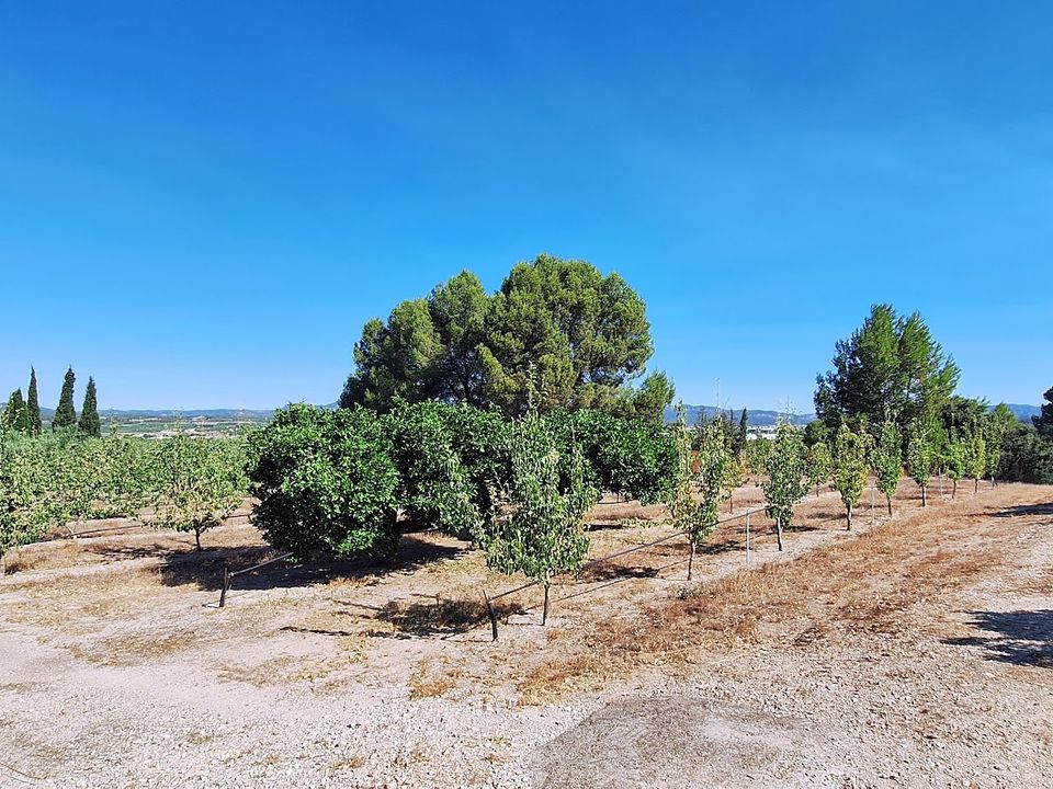 Finca in Ginestar, Tarragona - Foto 2